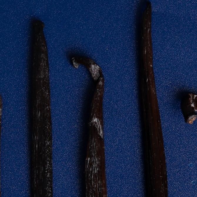 

Grosir Vanilla Beans Planifolia Gourmet 1Kg (Biji Vanila 100% Organik)