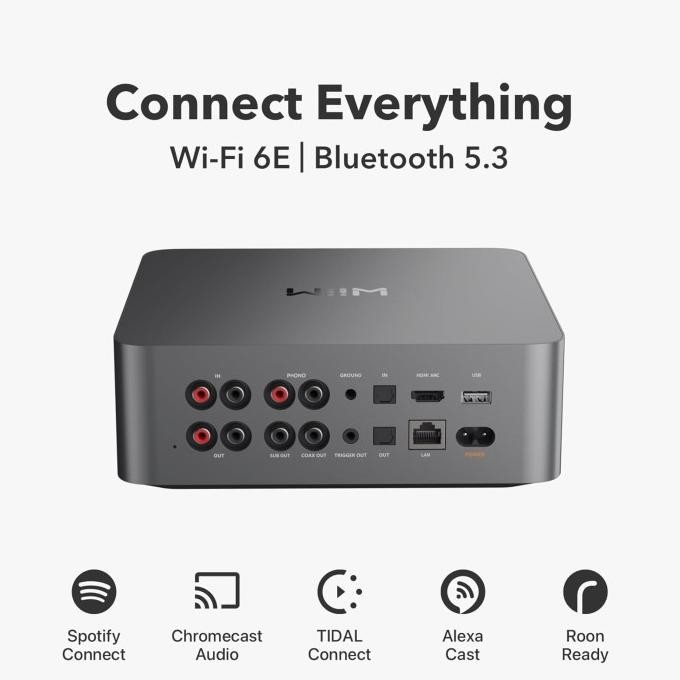 WiiM Ultra Digital Music Streamer & Digital Preamp dengan Layar Sentuh 3,5 Inch