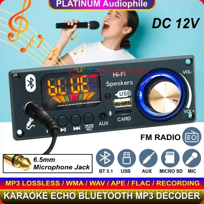 Modul MP3 Decoder Bluetooth Karaoke echo Recording Multimedia Trolley Speaker JQ-D160BT