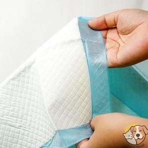 Grosir Training Pad Dog Per Pack Isi 50Pcs Ukuran 33X45Cm Untuk Anjing