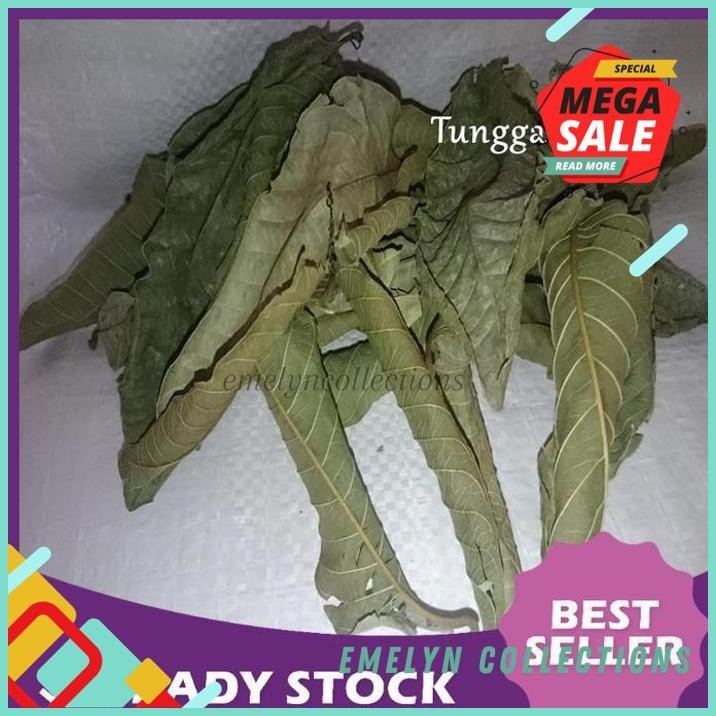 

PAKET RESELLER 10KG DAUN BIJI HUTAN KERING PREMIUM FRESH !!