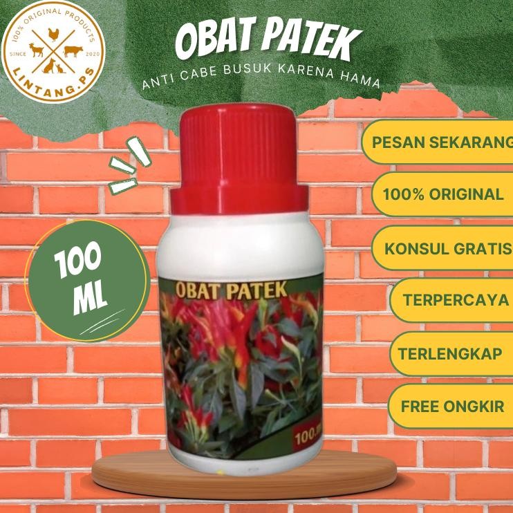 Ht-12 Obat Patek Cabai 100 Ml - Fungisida Anti Patek Tanaman Cabai - Pupuk Organik Cabai 100 Ml