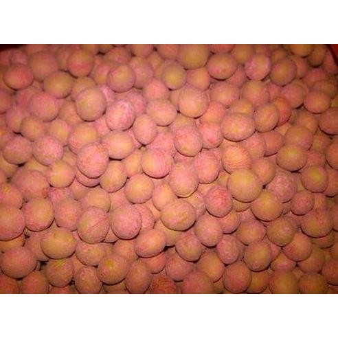 

fresh !!! Benih / Bibit - Kacang Edamame Kedelai Jepang 500gr, sekitar 1250 biji murah