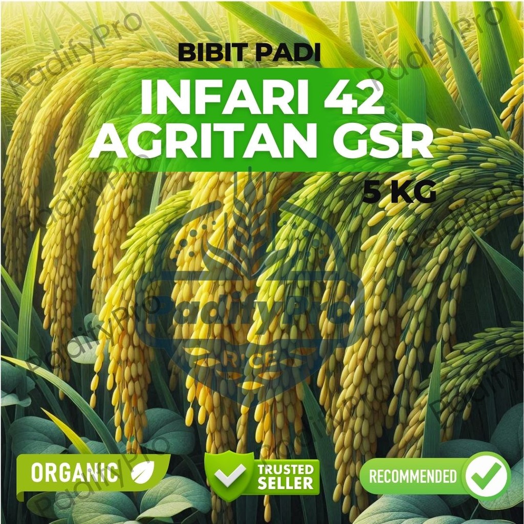 

Benih Padi INFARI 42 AGRITAN GSR 5Kg – Tahan Wereng, Hemat Air, Umur Genjah & Hasil Tinggi