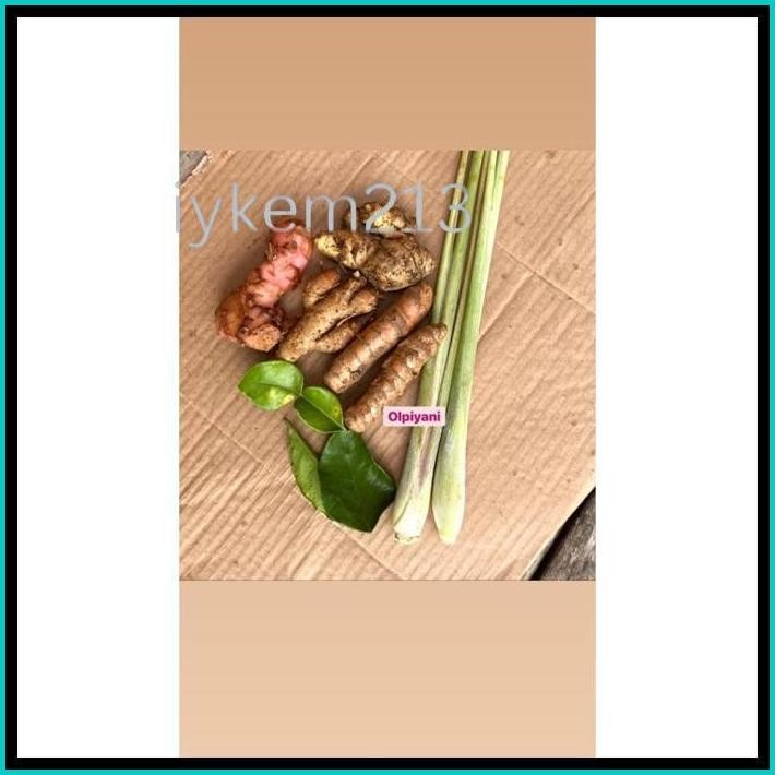 

ANEKA BUMBU DAPUR
