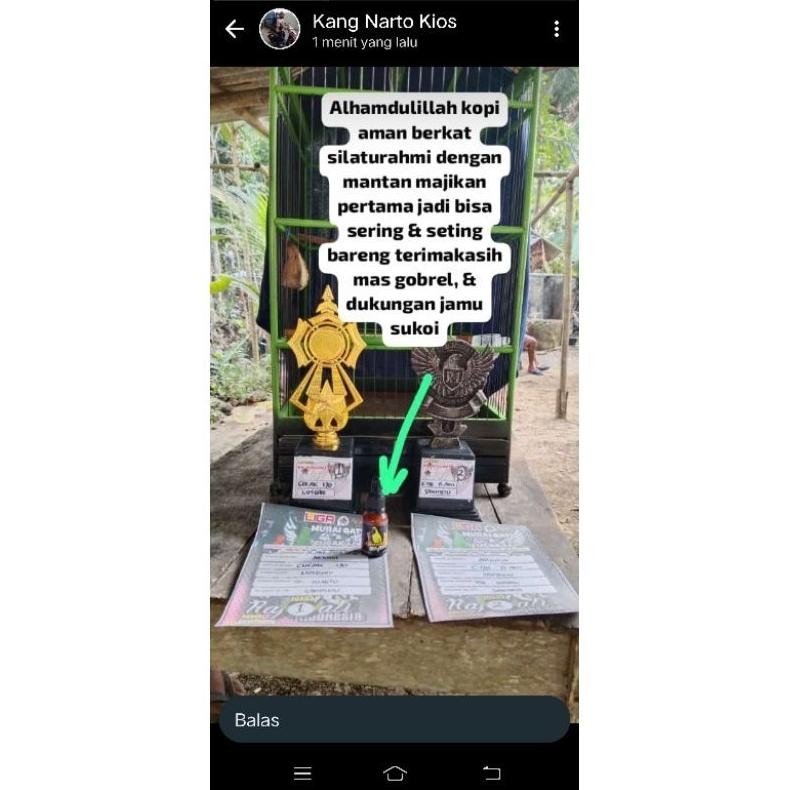 uj-32 VEX-2126 POWER SUKHOI VITAMIN PENGGACOR SEMUA JENIS BURUNG MURAI PLECI CUCAK HIJAU KACER KENAR