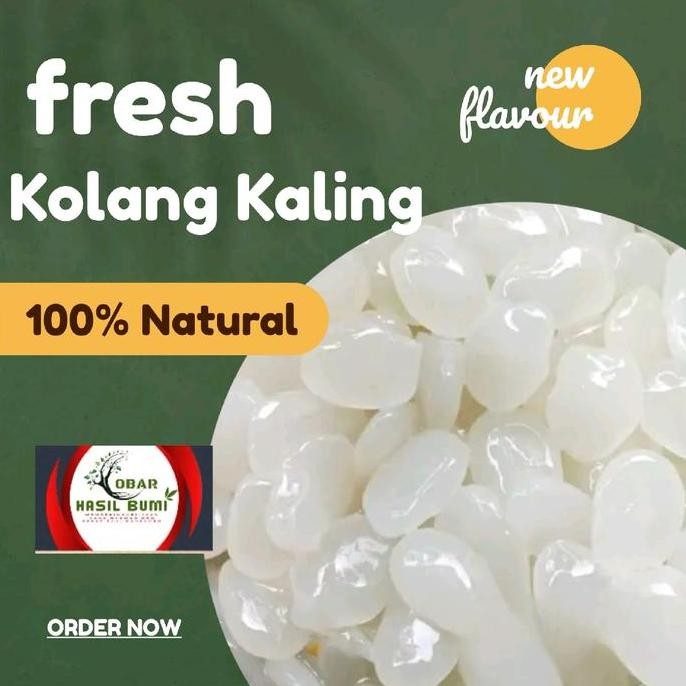 

Kolang Kaling Mentah segar 1kg Alami Organik Makanan Buah Zuriat nUg