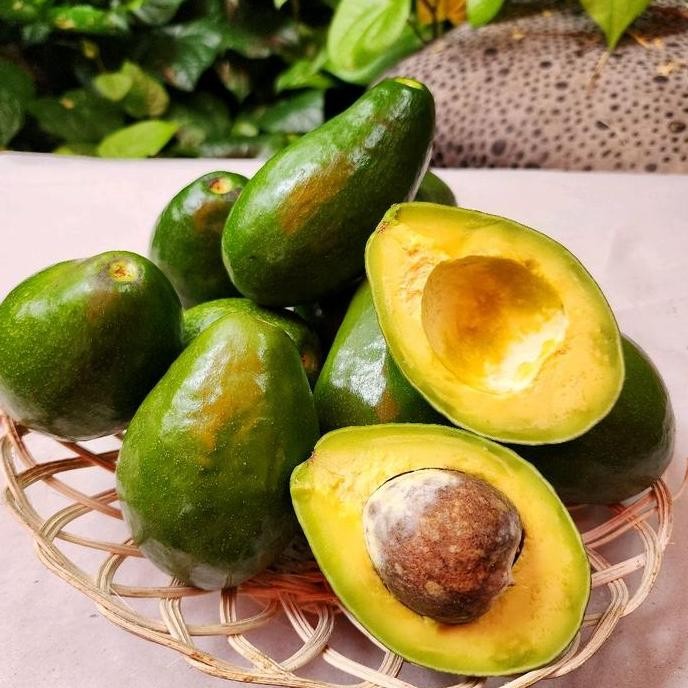 

Alpukat Mentega Mini Avocadoid nUg