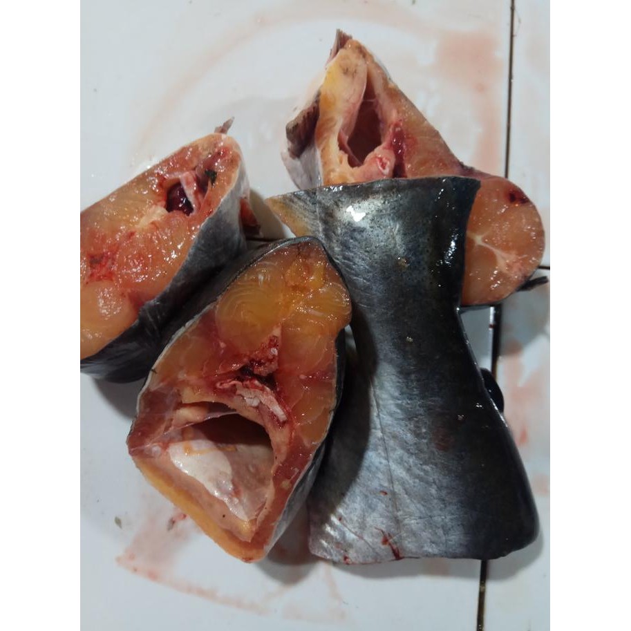 

IKAN PATIN IRISAN, TANPA KEPALA, SIUS nUg