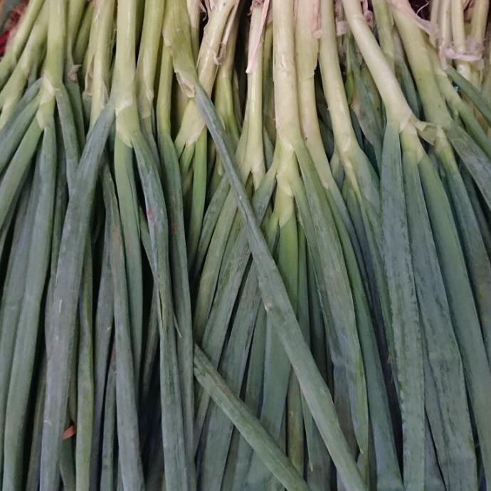 

Daun Bawang nUg