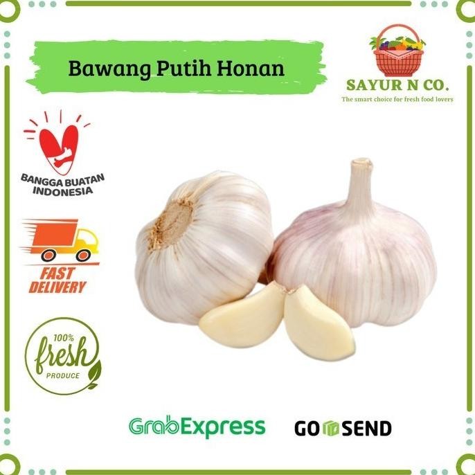 

Bawang Putih Honan Banci | Sayur N Co Bekasi nUg
