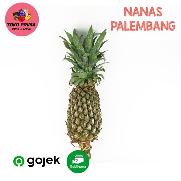 

BUAH NANAS PALEMBANG MANIS 1 Pcs nUg