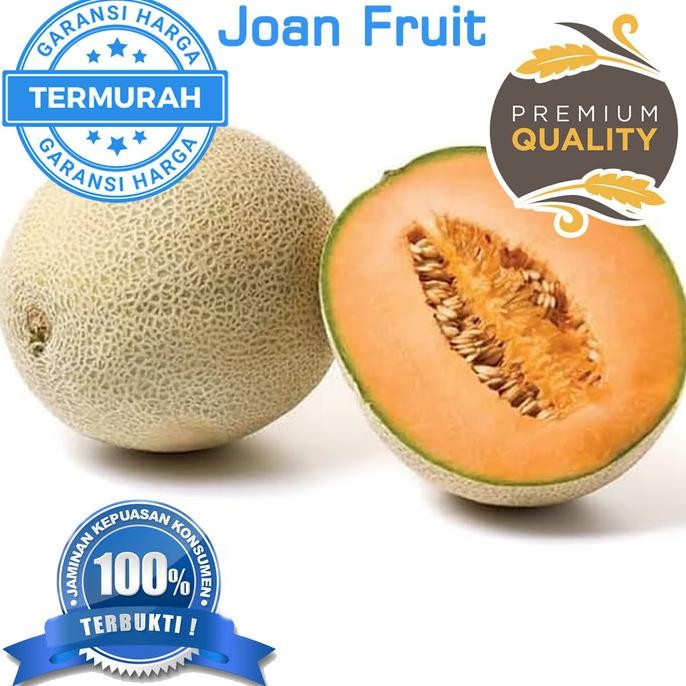 

TERMURAH 1 Pcs Melon Orange Premium Buah Rock Melon Merah Melon manis nUg