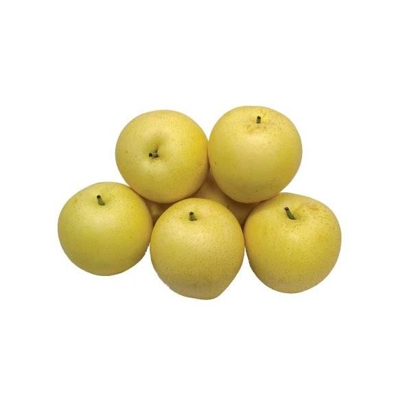 

BUAH CENTURY PEAR 550-580 GRAM nUg