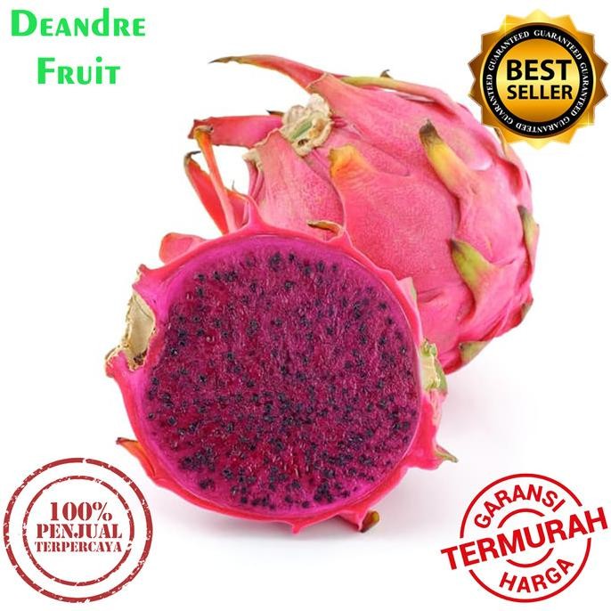 

PROMO MURAH 1kg Buah Naga Merah SUPER JUMBO Premium Manis DIJAMIN MURA nUg