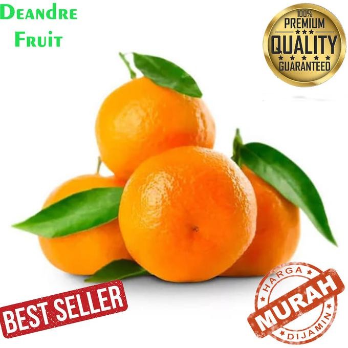 PROMO MURAH 1/2kg Buah Jeruk Shantang Daun MANIS BANGET Santang Madu u nUg
