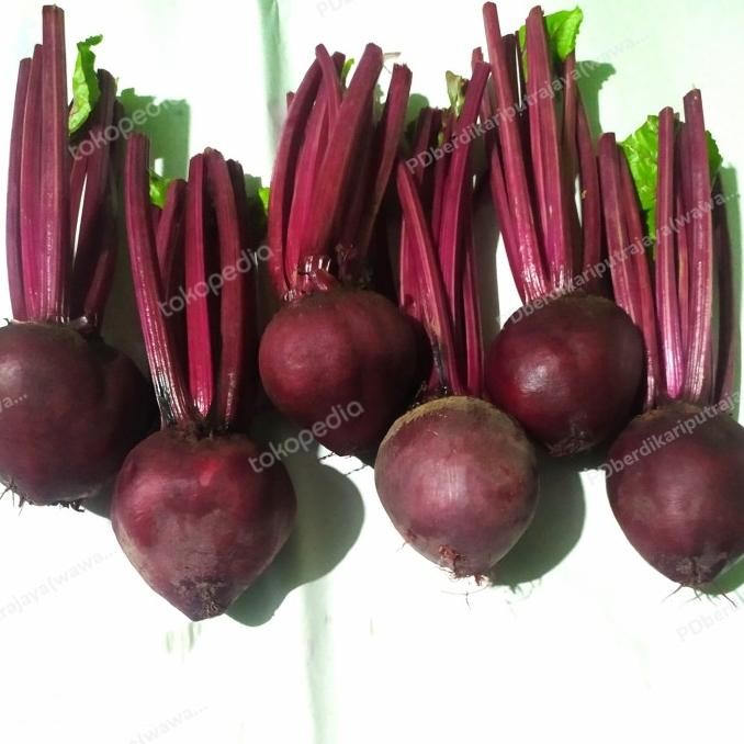 

buah bit beet root nUg