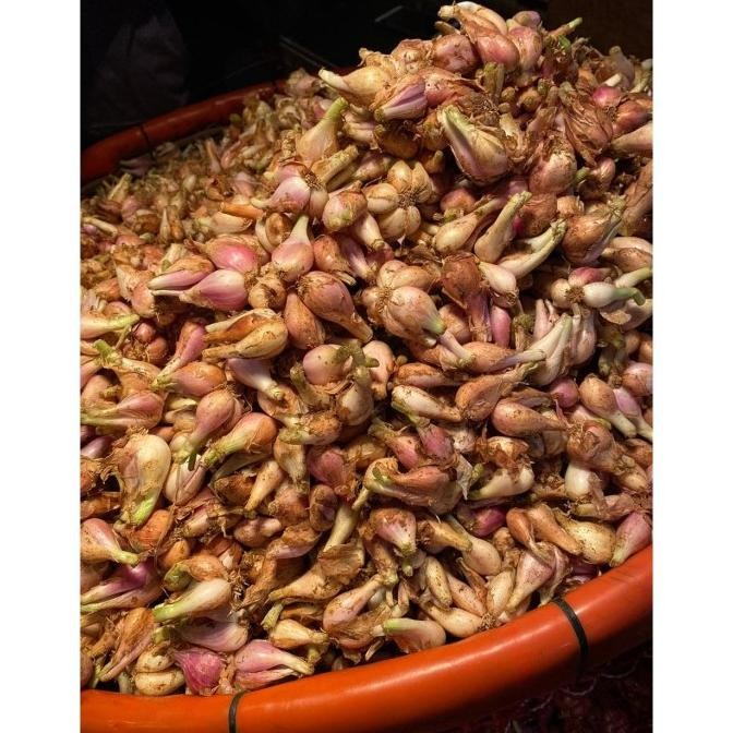 Bawang merah sumenep (besar) / bawang goreng 1kg nUg