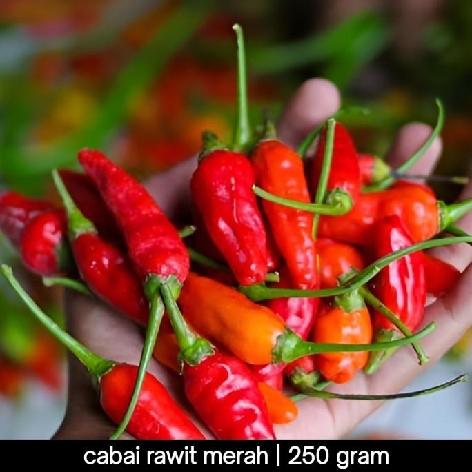 

cabai Rawit setan 250gr nUg