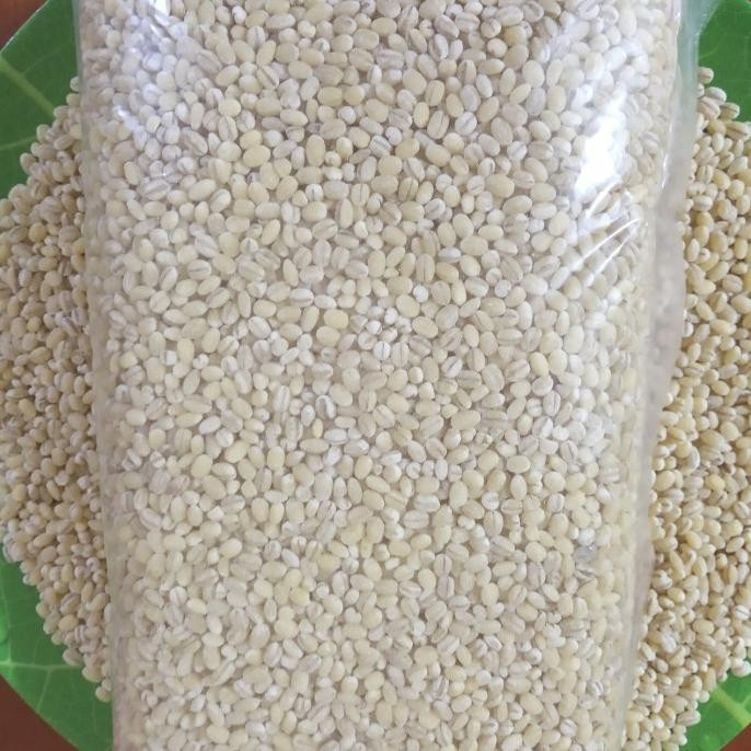 

Biji Jali-Jali Pearl Barley 500 Gram Import Holland nUg