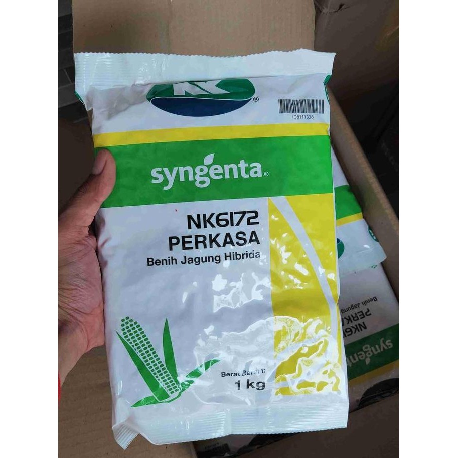 [Paket Grosir 1 Dus isi 20 pcs] Benih Jagung Perkasa 1 KG Benih Jagung Hibrida NK 6172 Perkasa 1kg B