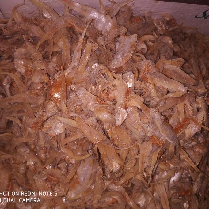 

Promo Ikan Asin Bulu Ayam 1Kg Murah