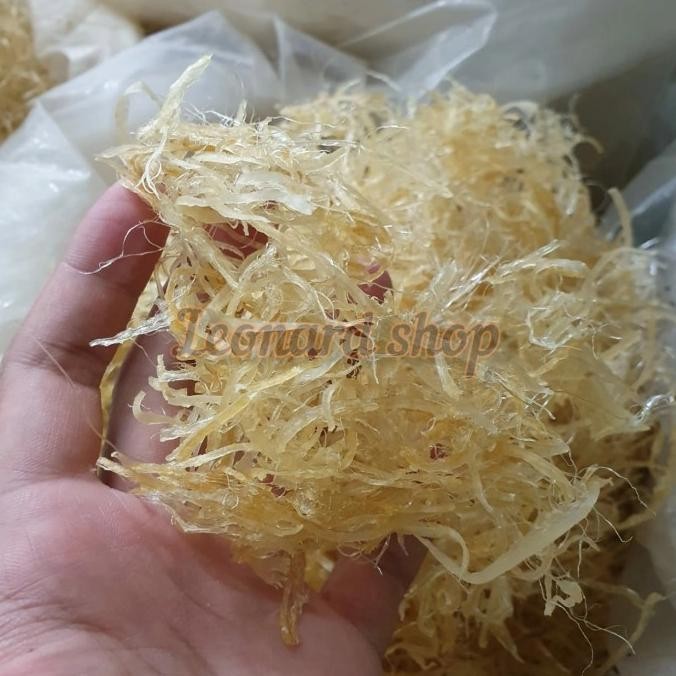 

Promo Hisit Kering Super 100Gm Bahan Sup Sirip Ikan Hiu Kualitas Grade B+++