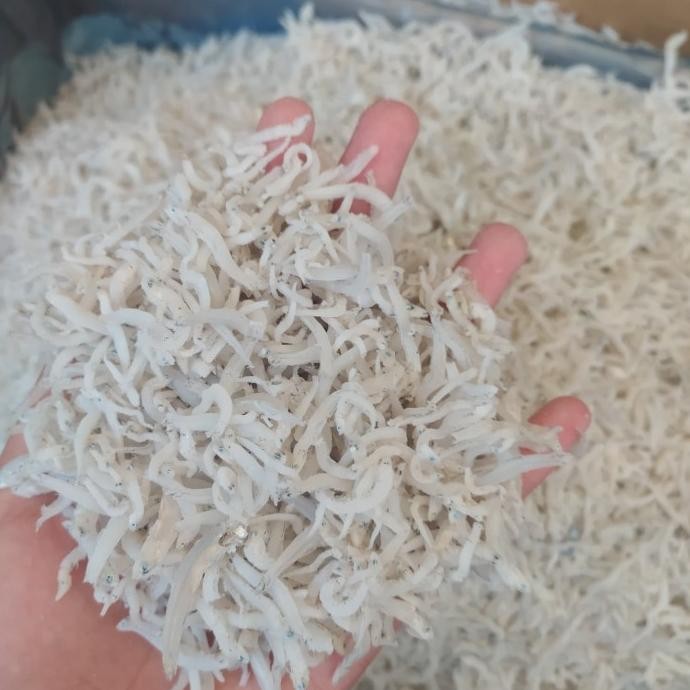 

Sale Ikan Asin Teri Nasi Medan Halus Size:Kecil-500Gram