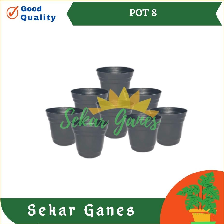 Bisa Cod Murah Pot 8 Cm Hitam Pot Bunga 8Cm Plastik Kaktus Vas Bunga Kecil Hitam Pot Hidroponik Mini