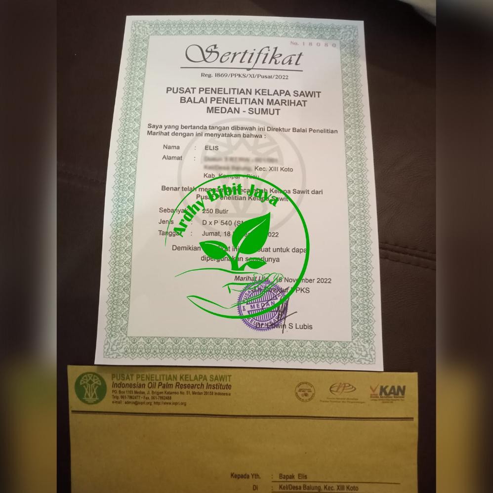 PPKS DxP 540 UNGGUL DAPAT SERTIFIKAT