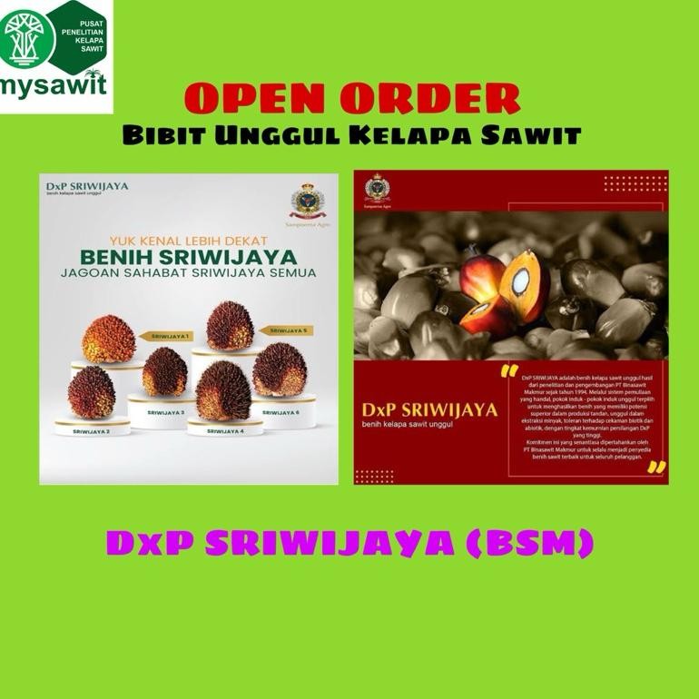 SAWIT BIBIT SRIWIJAYA BSM (PT BINA SAWIT MAKMUR)