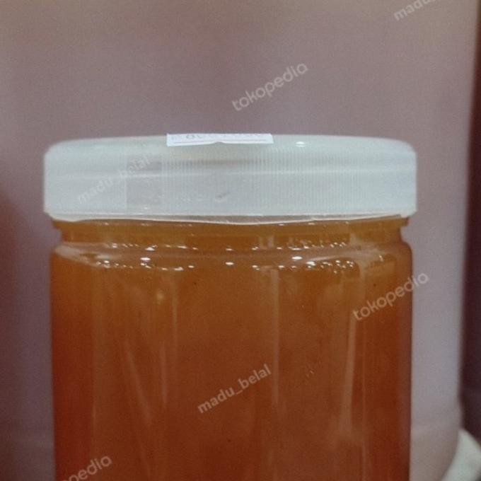 

Madu Yaman Sidr Baghiyah Nomor 1 Murni 500Gr Terlaris