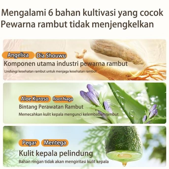 Ash Grey Pewarna Rambut Penghitam Rambut Permanen Cat Rambut Hair Color Warna Rambut Cat Rambut Ash 