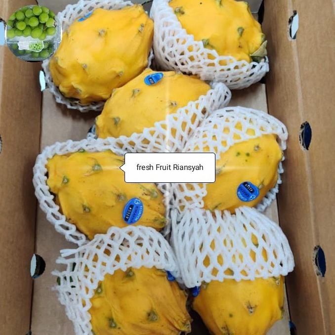 

Sale Buah Naga Kuning Ekuador Fresh /Dus