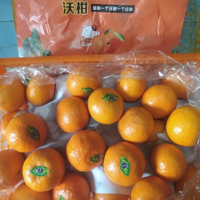 

Promo Jeruk Wogan Daun 1 Dus 6Kg / Jeruk Wogan Daun 1 Keranjang 6Kg