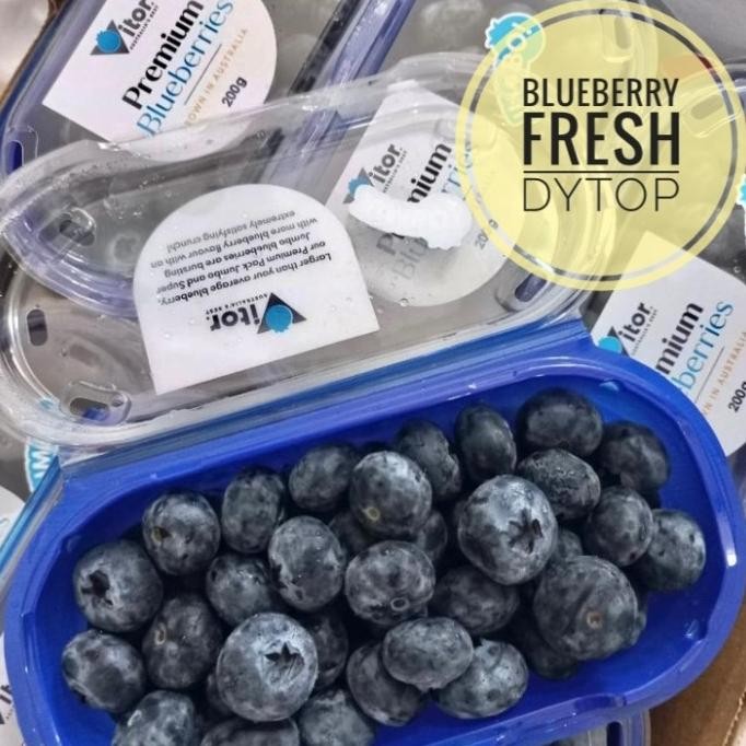 Murah Buah Blueberry Jumbo Import Fresh Segar