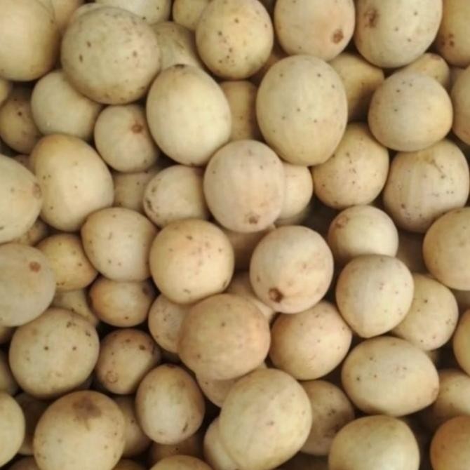 

Promo Panen Raya Duku Palembang Promo 1 Kg