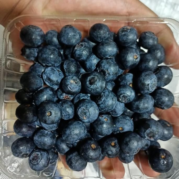 

Promo Buah Blueberry Australia Corindi Fresh Per 1Pack Berat 125 Gram