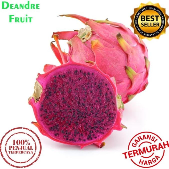 

Murah Promo Murah 1 Dus Buah Naga Merah Super Jumbo Premium Manis