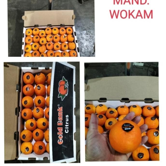 Promo Jeruk Mandarin Wokam Fresh Per Dus