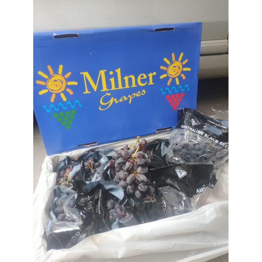 

Sale Anggur Hitam Melody Australia 1 Dus (9 Kg) Fresh Import