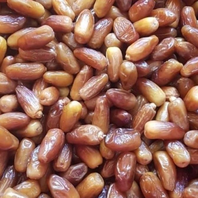 

Sale Kurma Hijra Tunisia Madu 5Kg Original Tunisia