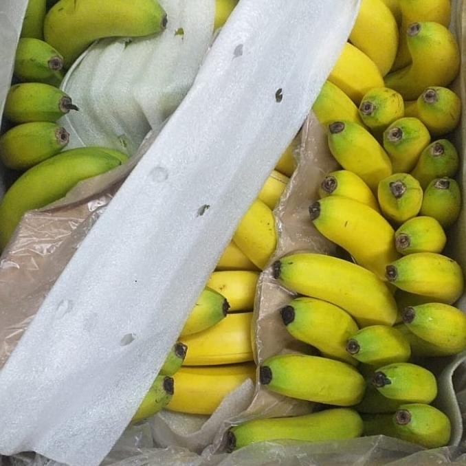 

Grosir Pisang Sunpride C3A 1 Box