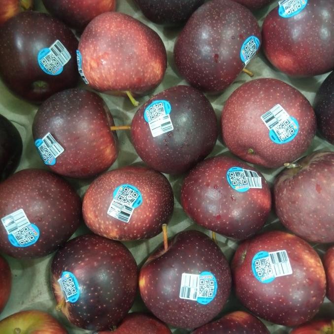 

Grosir Buah Apel Bravo Australia Fresh Manis Garing Per 1 Kg