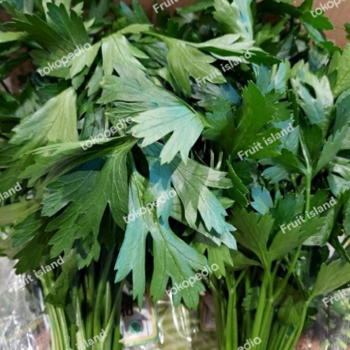 

Promo Italian Parsley 1Kg