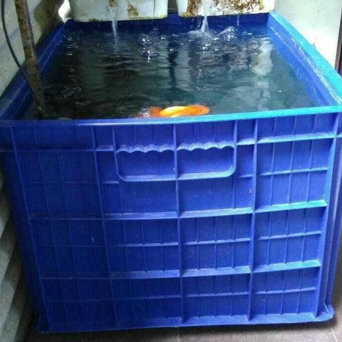 HANATA 3101 BOX CONTAINER 200 LITER / KERANJANG INDUSTRI / KOLAM IKAN