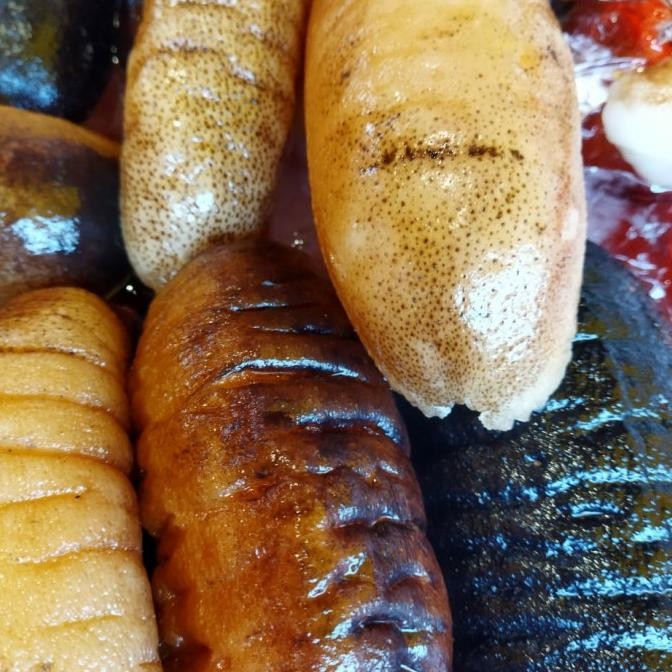 

Murah Haisom Tripang Basah Laut Besar