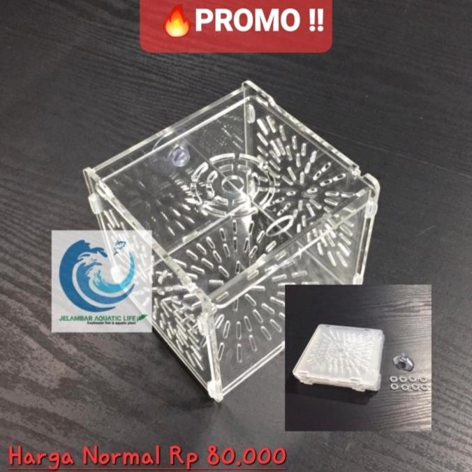 Box Karantina / Aklimasi Ikan Dan Udang Hias Acrylic Untuk Akuarium Co