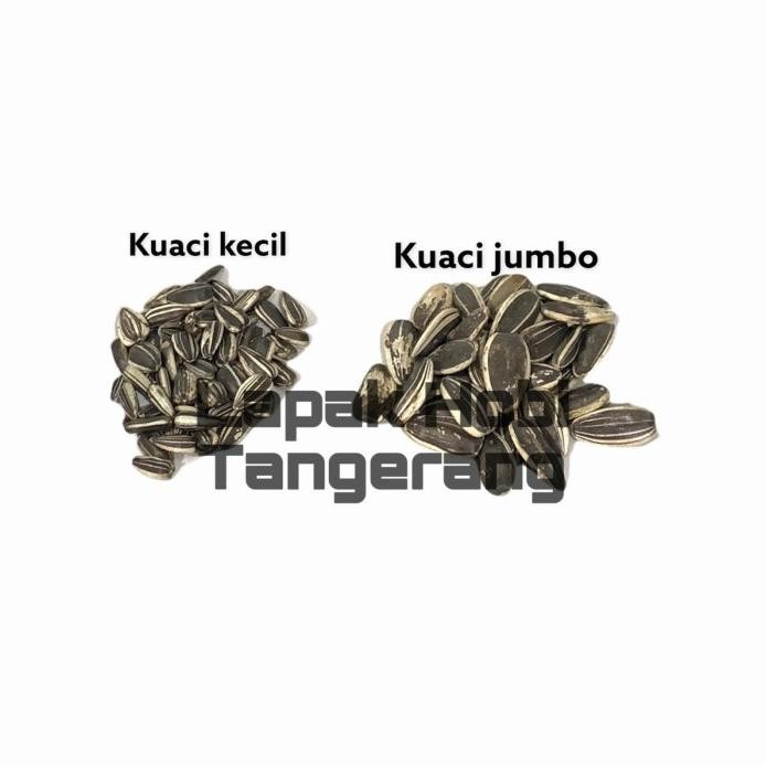 

Kuaci Sangrai Jumbo 1kg murah