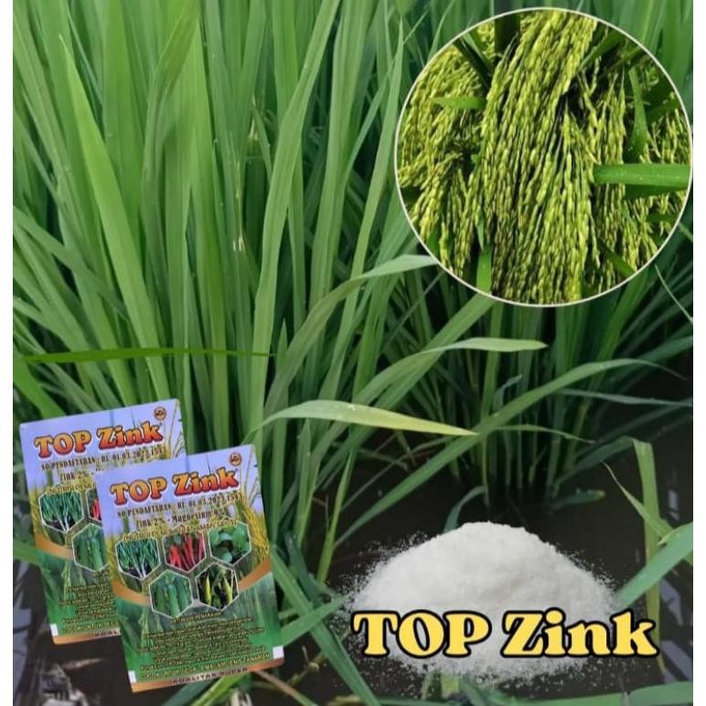 Bisa Cod Pupuk Top Zink 150Gr || Perbanyak Anakan Padi & Mengobati Asem Aseman || Obat Semprot Padi 